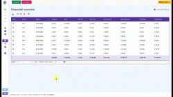 financieel-overzicht-bepaalde-periode