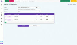 hoe-kan-ik navigeren-binnen-snelfactuur